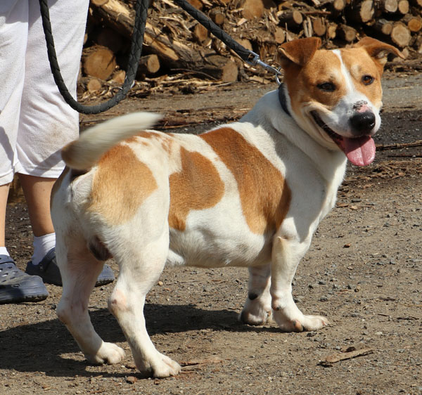 Leo0004